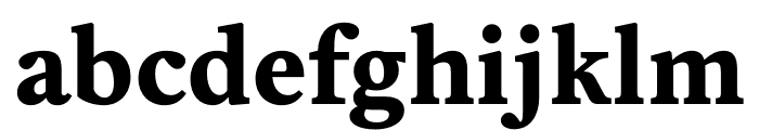 Tiffin Devanagari Bold Font LOWERCASE