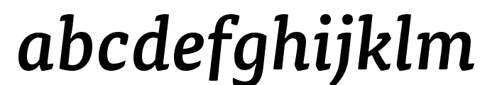 Tisa Pro Medium Italic Font LOWERCASE
