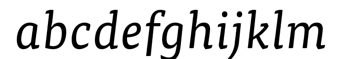 Tisa Pro Regular Italic Font LOWERCASE