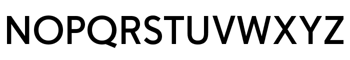 Tome Sans Variable Regular Font UPPERCASE