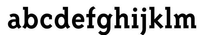 Triplex Serif OT Bold Font LOWERCASE