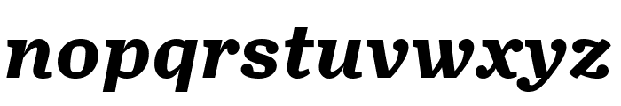 TurnipRE Bold Italic Font LOWERCASE