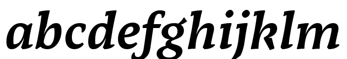 Tzimmes Bold Italic Font LOWERCASE