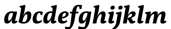 Vollkorn Bold Italic Font LOWERCASE