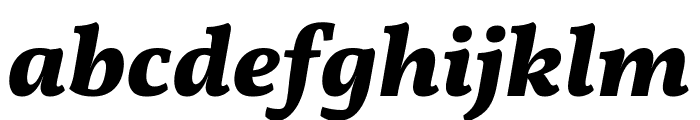 Vollkorn ExtraBold Italic Font LOWERCASE