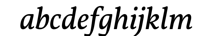 Vollkorn Italic Font LOWERCASE