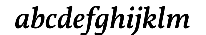 Vollkorn Medium Italic Font LOWERCASE