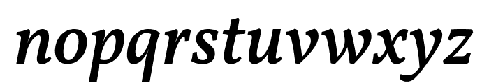Vollkorn Medium Italic Font LOWERCASE