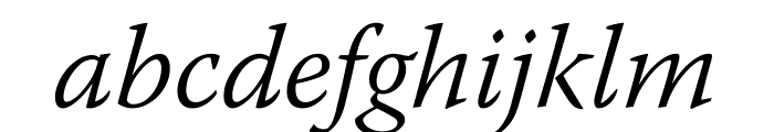 Warnock Pro Light Italic Font LOWERCASE