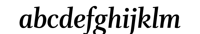 Whitman Display Bold Italic Font LOWERCASE