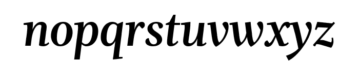 Whitman Display Bold Italic Font LOWERCASE