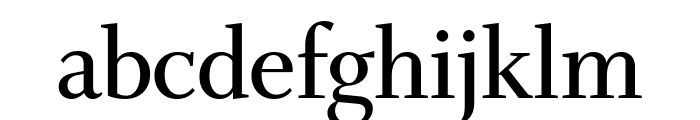 Whitman Display Condensed Semi Bold Font LOWERCASE