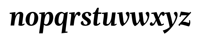 Whitman Display Extra Bold Italic Font LOWERCASE