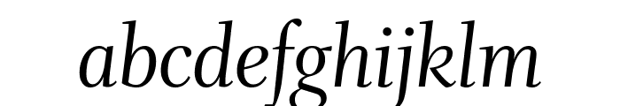 Whitman Display Italic Font LOWERCASE