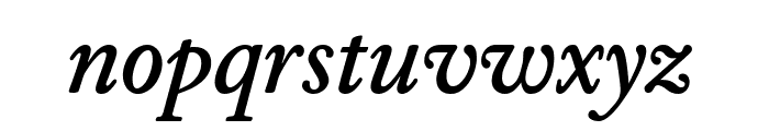 WilliamsCaslonText Bold Italic Font LOWERCASE