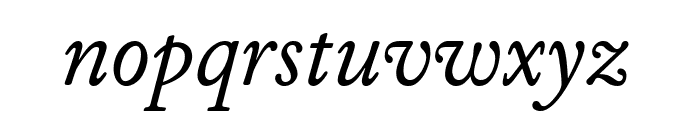 WilliamsCaslonText Italic Font LOWERCASE