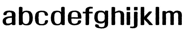 ZW JijanggyeongeonhaeOTF Bold Font LOWERCASE