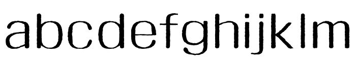 ZW JijanggyeongeonhaeOTF Light Font LOWERCASE