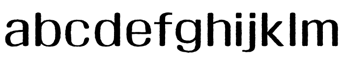 ZW JijanggyeongeonhaeOTF Regular Font LOWERCASE