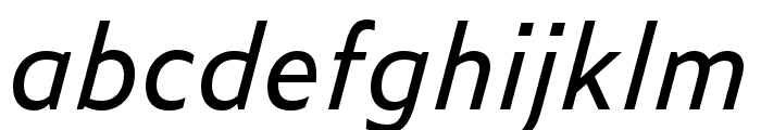 Zeitung Mono Pro Regular Italic Font LOWERCASE