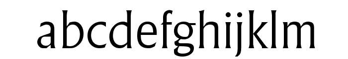 AdelonSerial-Light-Regular Font LOWERCASE