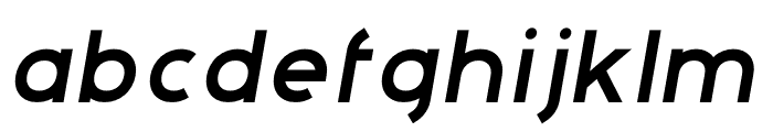 Adita Regular Italic Font LOWERCASE