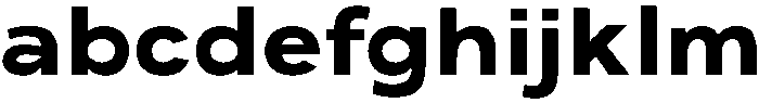 ADGET SANS Bold otf (700) FONT