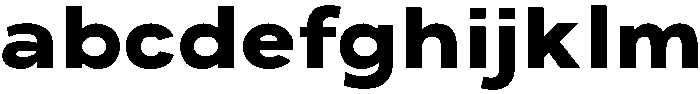 ADGET SANS Extra Bold otf (700) FONT