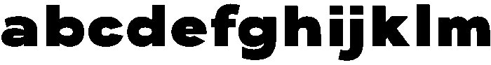 ADGET SANS Heavy otf (800) FONT