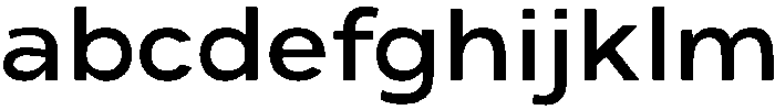 ADGET SANS Medium otf (500) FONT
