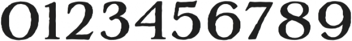 Adorn Serif otf (400) Font OTHER CHARS