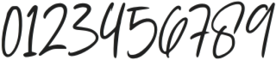 Adusian Signature Regular otf (400) Font OTHER CHARS