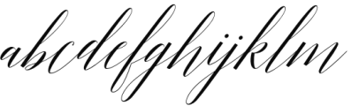 Adelicia Script Clean Font LOWERCASE