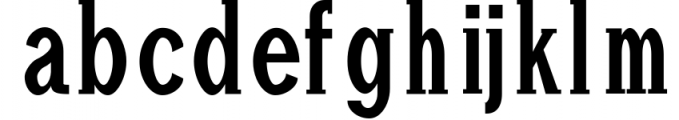 Adney Slab Serif 3 Font Family Font LOWERCASE