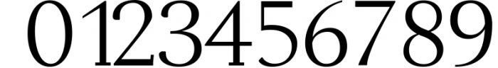 Adrina Modern Serif Font Family 1 Font OTHER CHARS