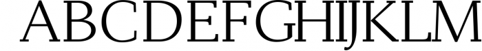 Adrina Modern Serif Font Family 1 Font UPPERCASE