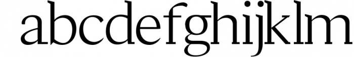 Adrina Modern Serif Font Family 1 Font LOWERCASE