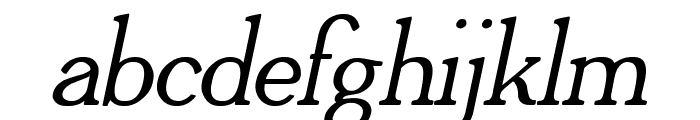 Adega Serif Bold Italic Font LOWERCASE