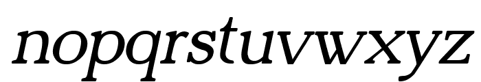 Adega Serif Bold Italic Font LOWERCASE