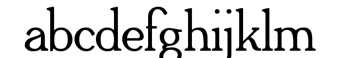 Adega Serif Bold Font LOWERCASE