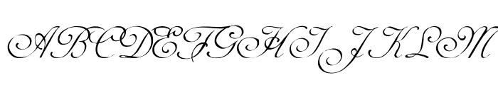 AdineKirnberg-Script Font - What Font Is