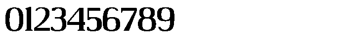Adaptable Bold Serif Font OTHER CHARS