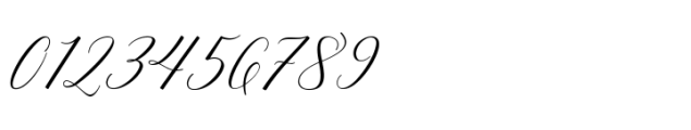 Adelicia Script Rough Font OTHER CHARS
