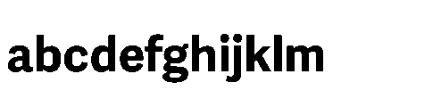 Adelle Sans Devanagari Bold FONT