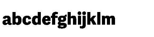 Adelle Sans Devanagari Extrabold FONT