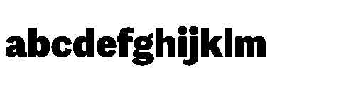 Adelle Sans Devanagari Heavy FONT