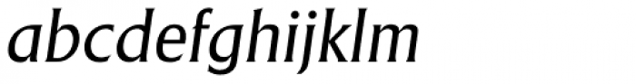Adelon Serial Italic Font LOWERCASE