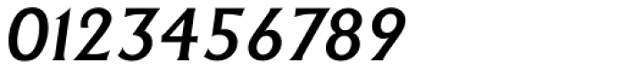 Adelon Serial Medium Italic Font OTHER CHARS