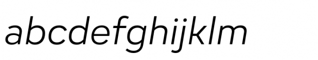 Adelphi PE Text Light Italic Font LOWERCASE