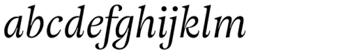 Adriane Text Italic Font LOWERCASE